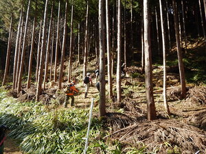 DSCN4060.JPG