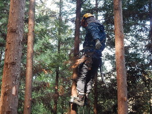 DSCN4070.JPG