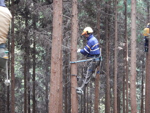 DSCN4072.JPG