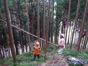 DSCN4167.JPG