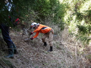 100_0048.JPG