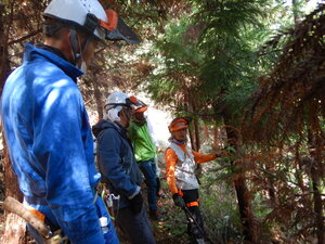 DSCN0754.JPG
