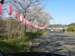 DSCN0362.JPG