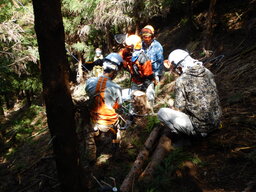 DSCN0395.JPG