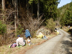 DSCN0423.JPG
