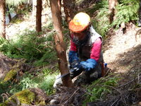 DSCN0437.JPG