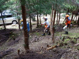 DSCN0502.JPG