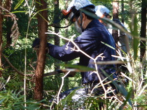 DSCN0523.JPG