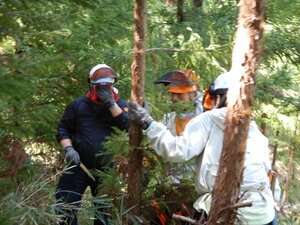 DSCN0531.JPG
