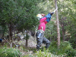 DSCN0558.JPG