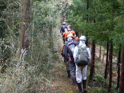 DSCN0607.JPG