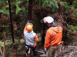 DSCN0616.JPG