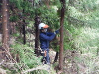 DSCN0625.JPG