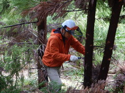 DSCN0634.JPG