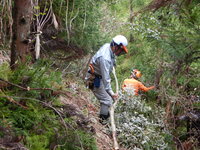 DSCN0660.JPG