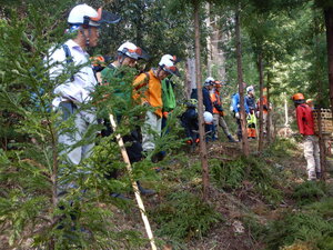 DSCN0748.JPG