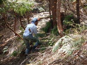 DSCN0771.JPG
