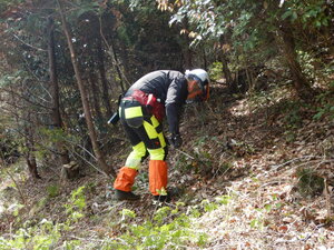 DSCN0776.JPG