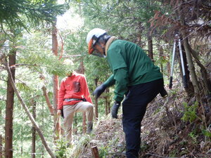 DSCN0782.JPG