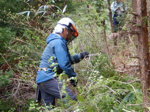 DSCN0787.JPG