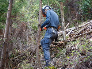 DSCN0810.JPG