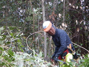 DSCN0818.JPG
