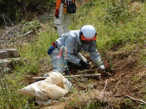 DSCN1044.JPG
