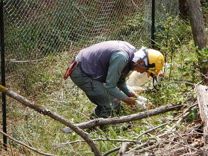 DSCN1046.JPG