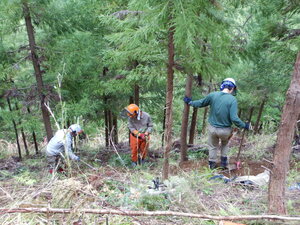 DSCN1200.JPG