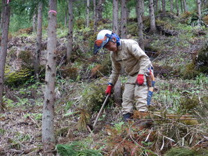 DSCN1201.JPG