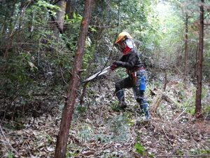 DSCN1261.JPG