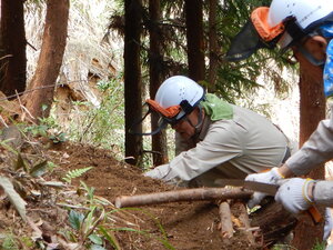 DSCN1505.JPG