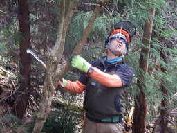 DSCN6137.JPG