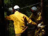 DSCN6150.JPG