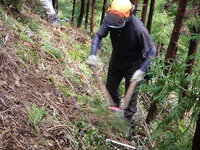 DSCN6251.JPG