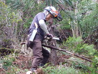 DSCN6258.JPG