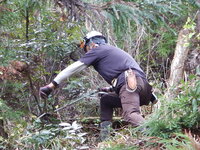 DSCN6265.JPG