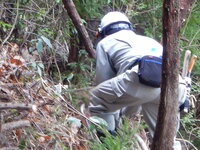 DSCN6335.JPG