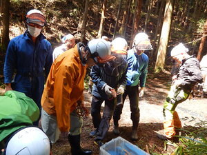 DSCN6364.JPG