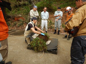 DSCN6586.JPG