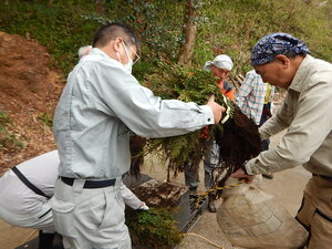 DSCN6594.JPG