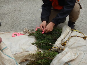 DSCN6615.JPG