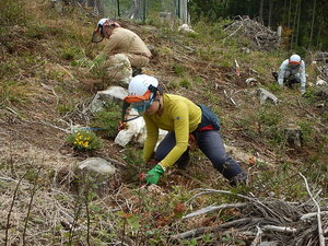 DSCN6632.JPG