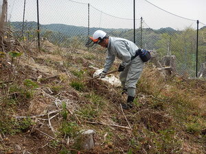 DSCN6633.JPG