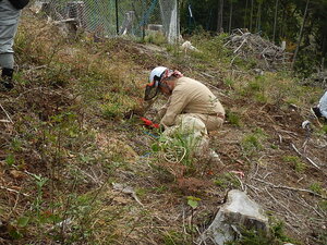 DSCN6634.JPG