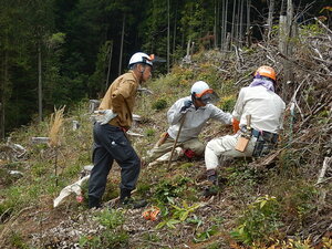 DSCN6638.JPG