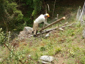 DSCN6661.JPG