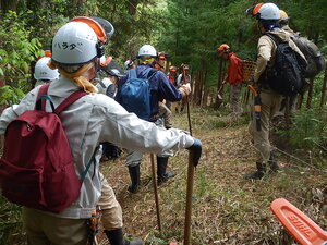 DSCN6807.JPG