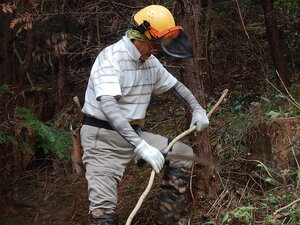 DSCN6829.JPG
