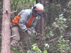 DSCN6842.JPG
